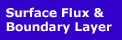 Surface Flux & Boundary Layer