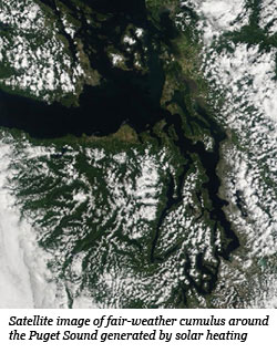 Puget Sound satellite image