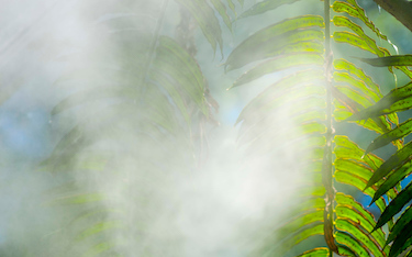 An abstract image that conveys global warming