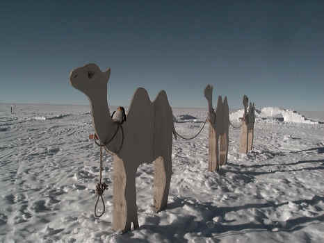 Mach11.jpg (109393 bytes)