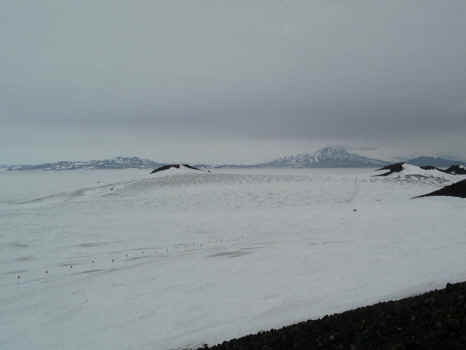 PANA0003.JPG (69050 bytes)