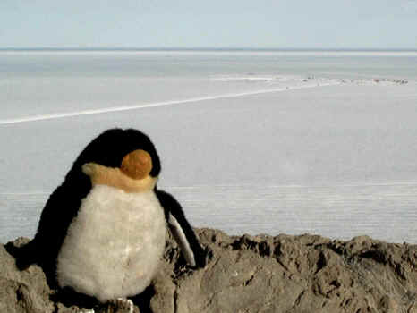 PANA0111.JPG (83855 bytes)