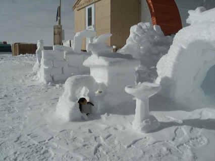 Snow3.JPG (86293 bytes)