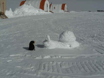 Snow5.JPG (87904 bytes)