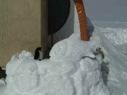 Snow6.JPG (72931 bytes)