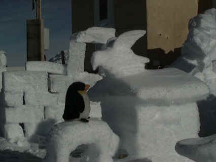 Snow7.JPG (74229 bytes)