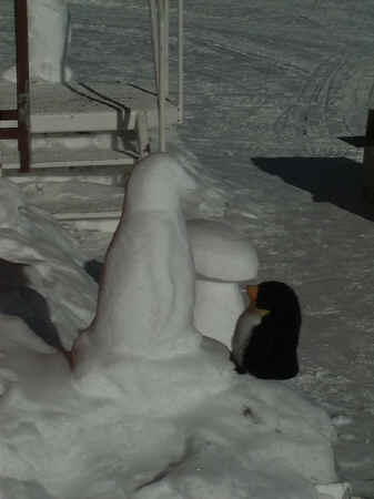 Snow8.jpg (54719 bytes)