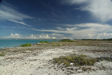 cloudlinea