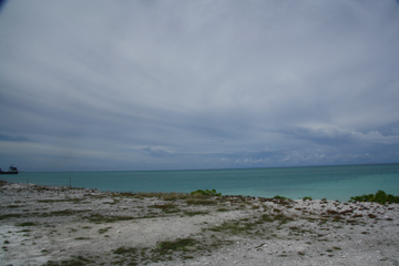 20111029_0948IMG_2361sLITTLE.jpg