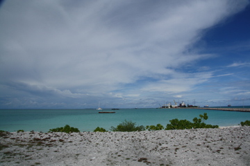 20111029_0948IMG_2362sLITTLE.jpg