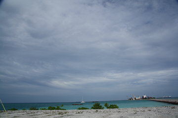 20111030_1057IMG_2393sLITTLE.jpg