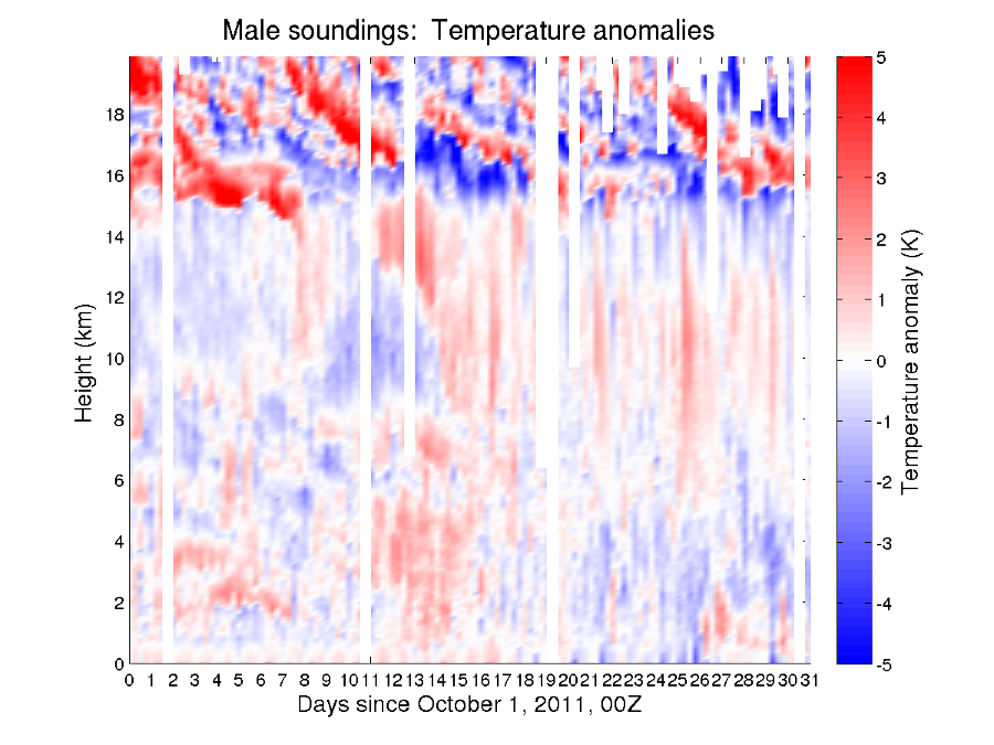 Tanom_20111101_000000_male.png