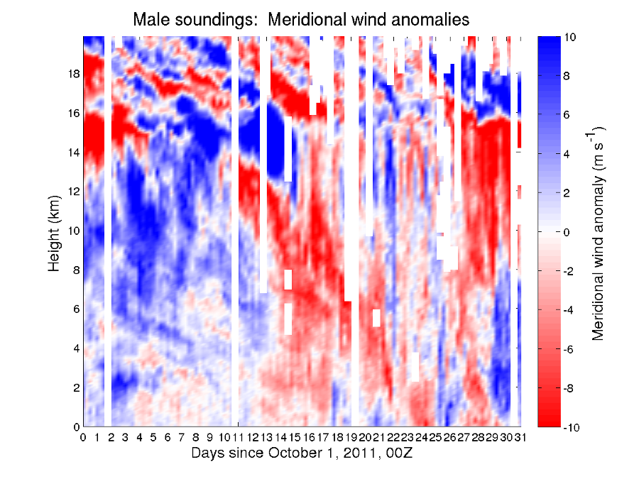 vwindanom_20111101_000000_male.png