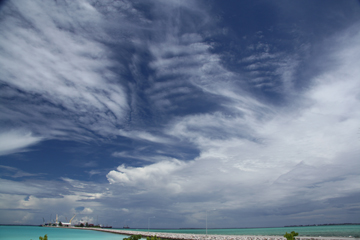 20111103_0741IMG_2539sssLITTLE.jpg