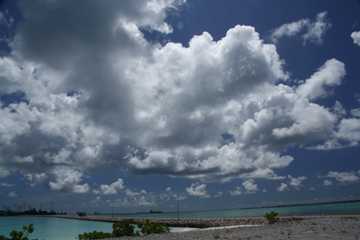 20111105_0521IMG_2625sLITTLE.jpg