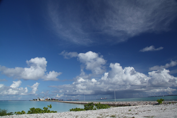 20111105_1010IMG_2656sLITTLE.jpg