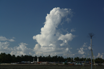 20111105_1132IMG_2665sLITTLE.jpg