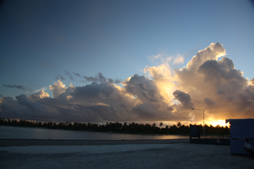 20111105_1246IMG_2675sLITTLE.jpg