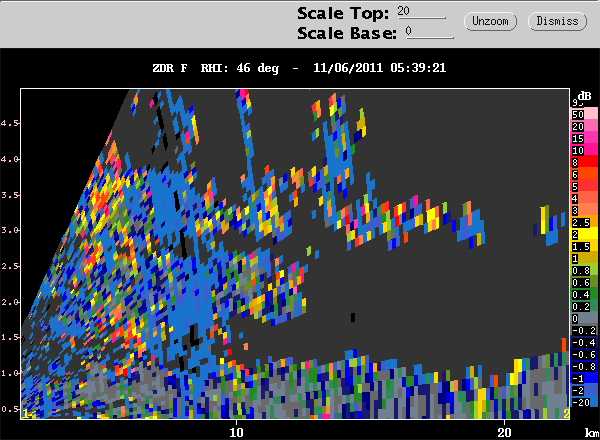 20111105_0531rhizdr046.gif
