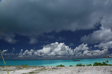20111106_0708IMG_2711ssLITTLE.jpg