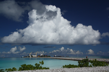 20111106_0941IMG_2731ssLITTLE.jpg