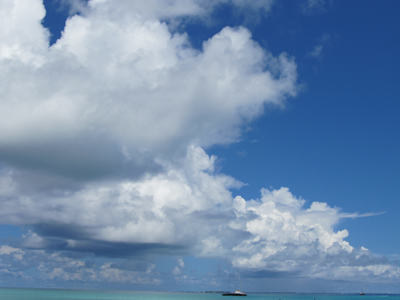 20111113_0703IMG_0780sLITTLE.jpg