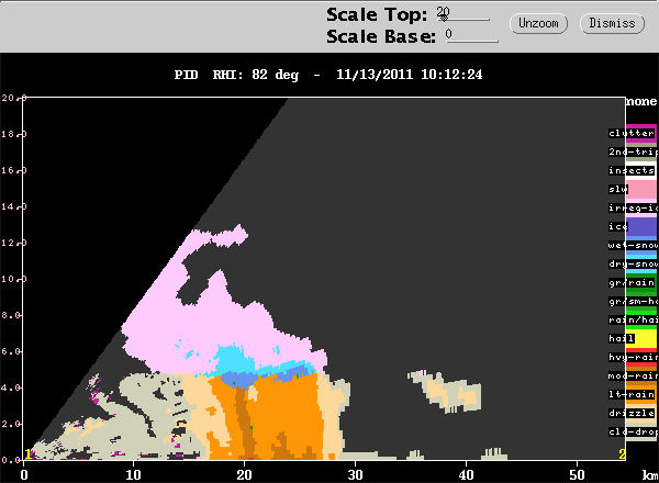 20111113_1016_rhipid_82.gif