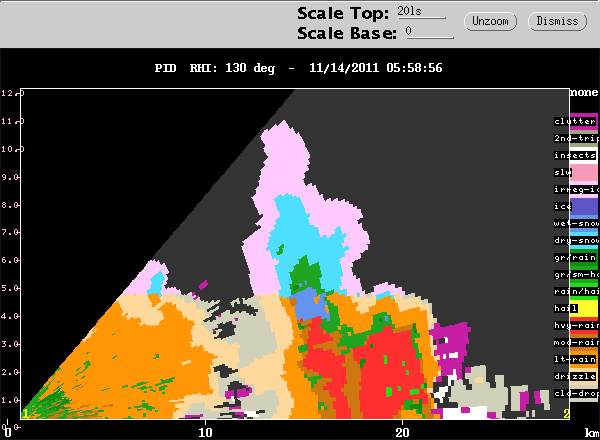 20111114_0546_rhipid_130_zoomed.gif