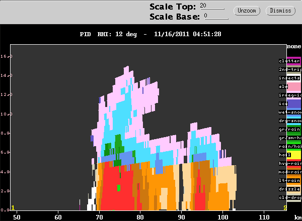 20111116_0501_rhipid_12_zoomed.gif
