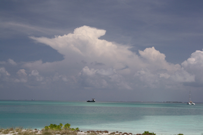 20111116_0655IMG_3167LITTLE.jpg