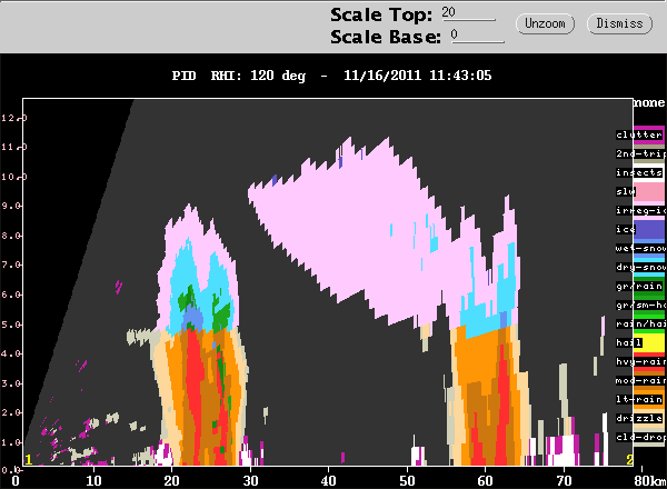 20111116_1131rhipid120.gif
