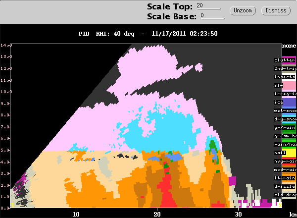 20111117_0231_rhipid_40_zoomed.gif