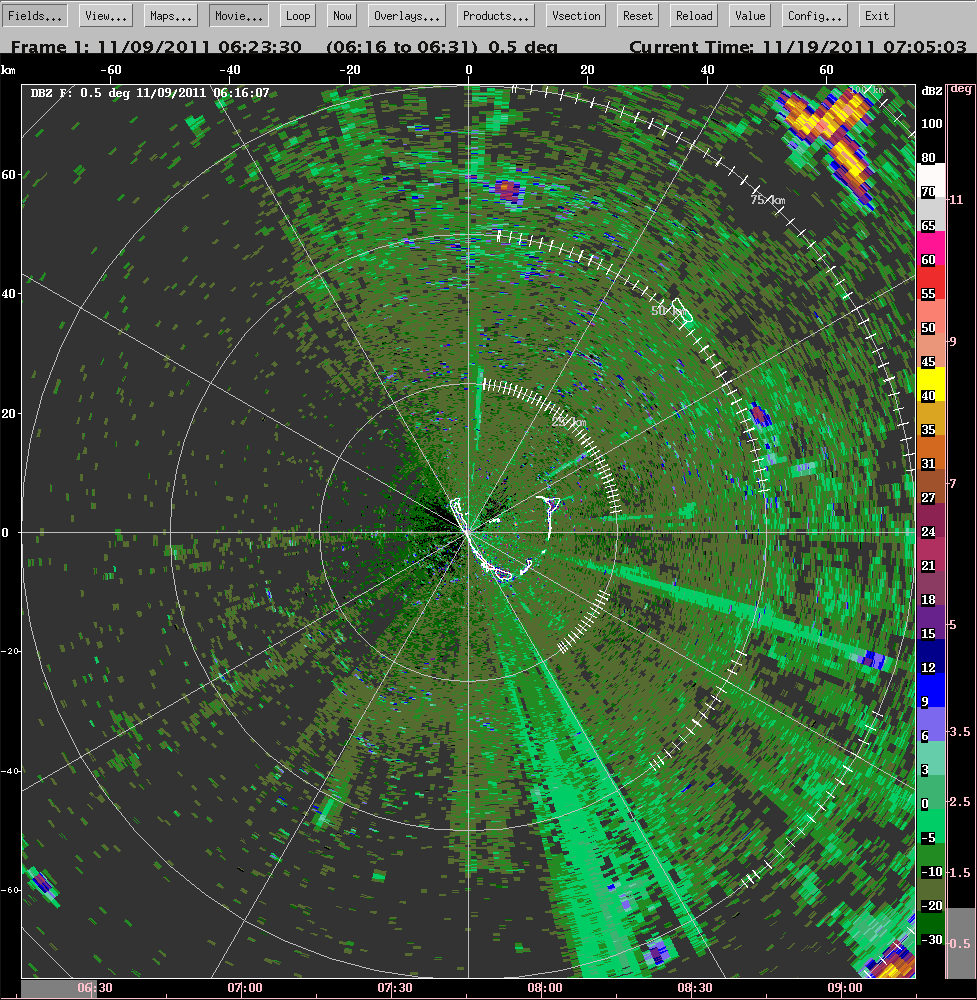20111109_0616_ppidbz_insects.gif