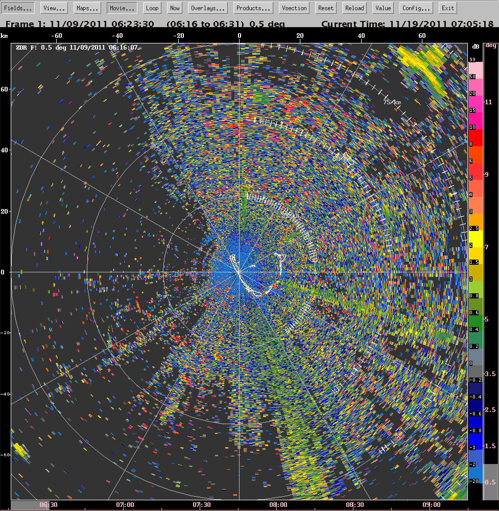 20111109_0616_ppizdr_insects.gif