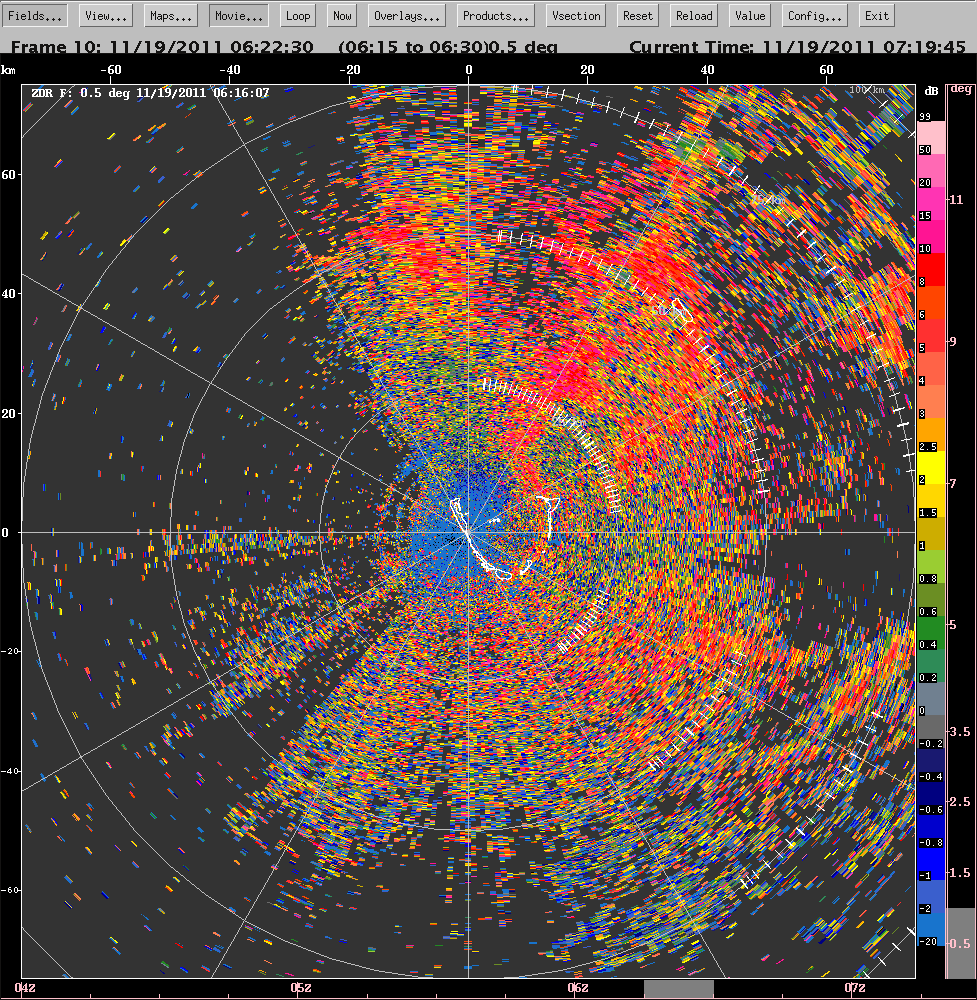 20111119_0616_ppizdr_insects.gif