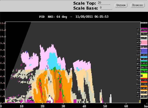20111120_0631_rhipid_64.gif