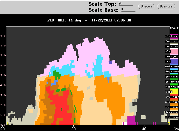 20111122_0216_rhipid_14.gif