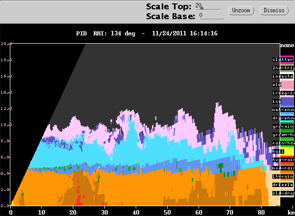 20111124_1601_rhipid_line.gif