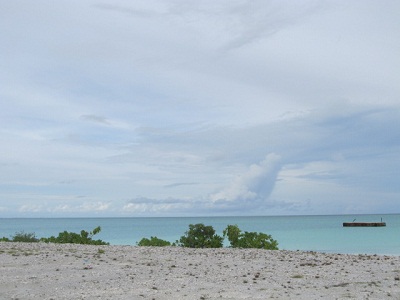 IMG_1131.jpg