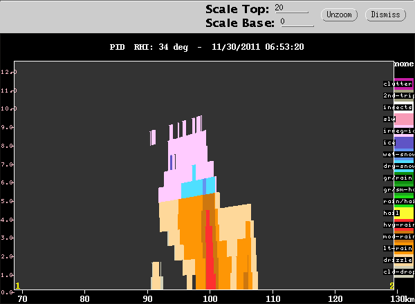 20111130_0646_rhipid_firstcell_line_max_intensity.gif