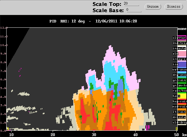 20111206_1001_rhipid_12.gif