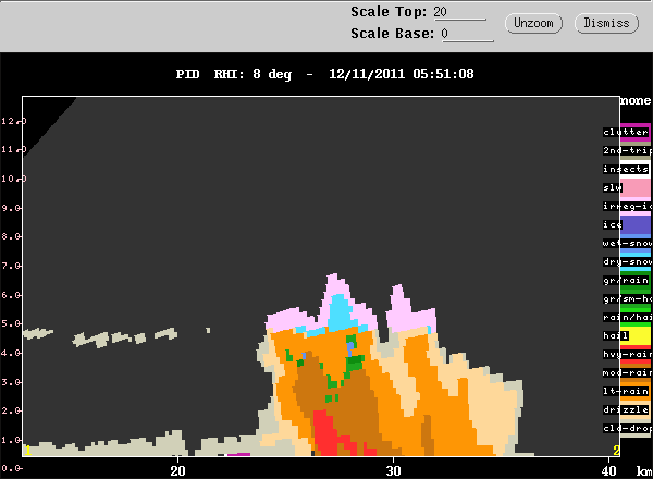 20111211_0546_008_rhipid_decay.gif