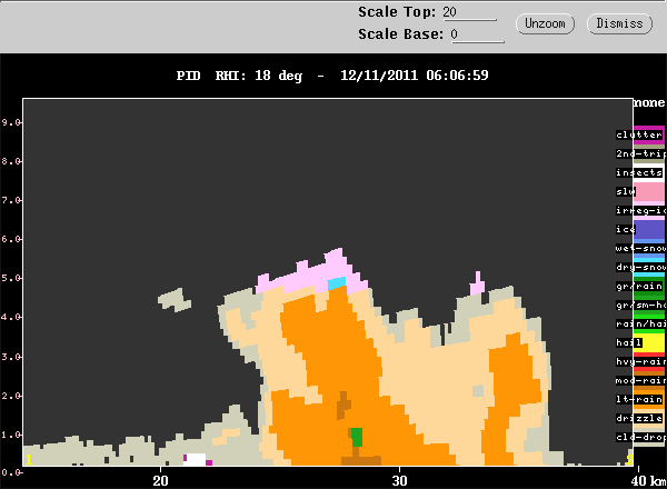 20111211_0601_018_rhipid_decay.gif