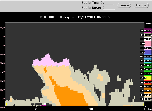 20111211_0616_018_rhipid_decay.gif