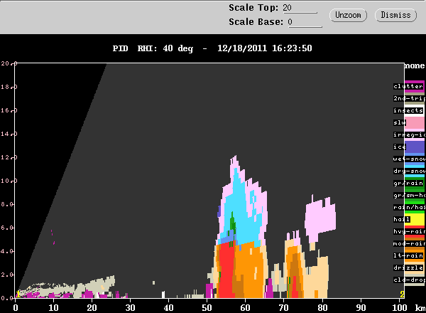 20111218_1623_pidrhii_cellmerge.gif
