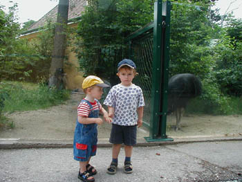zoo